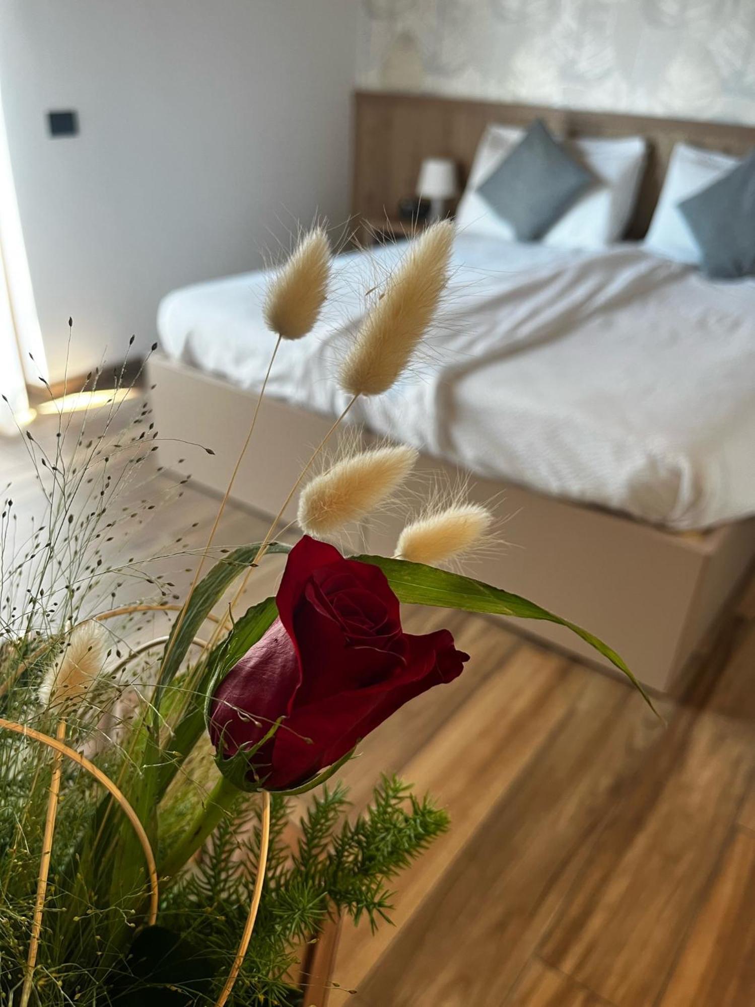 Agriturismo Maso Miri Тренто Екстер'єр фото